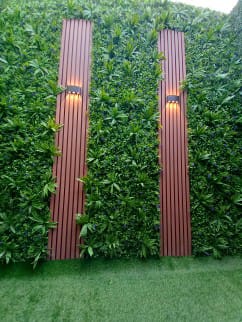Gallery Image 19