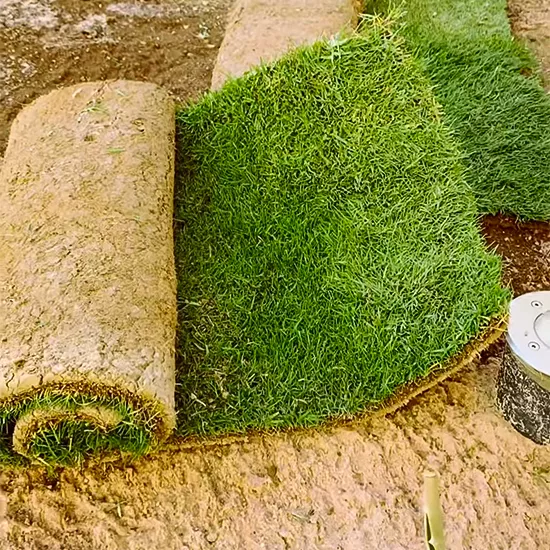 التيل الطبيعي