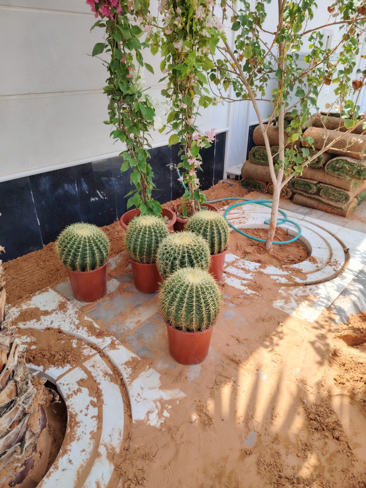 الزرع والنباتات الطبيعي