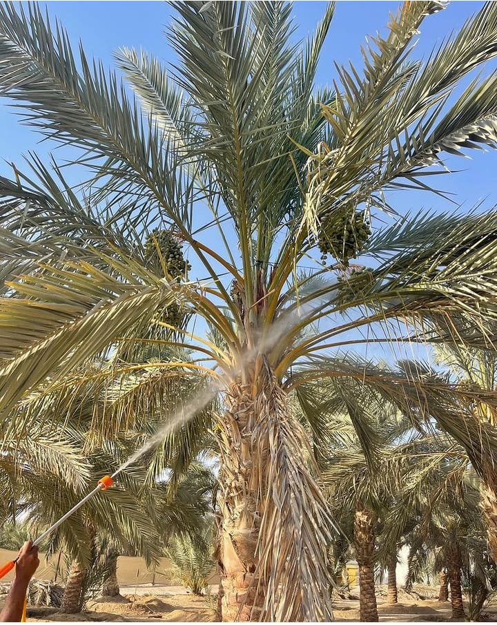 Gallery Image 14